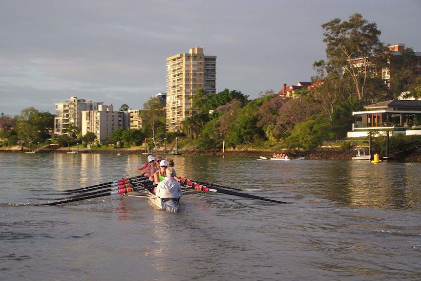Teams take visitors with rowing experience down the Brisbane River.
