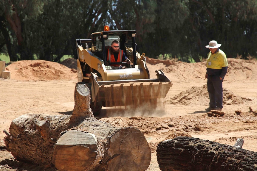 A man driving a skid steer, with a supervisor on one side and big logs in front.