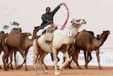 A man cheers as he rides a camel during King Abdulaziz Camel Festival.