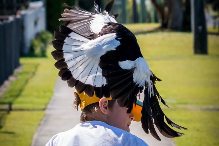 It's game on as 'Maggie' the magpie swoops on 9 year old Tylah as he rides his scooter