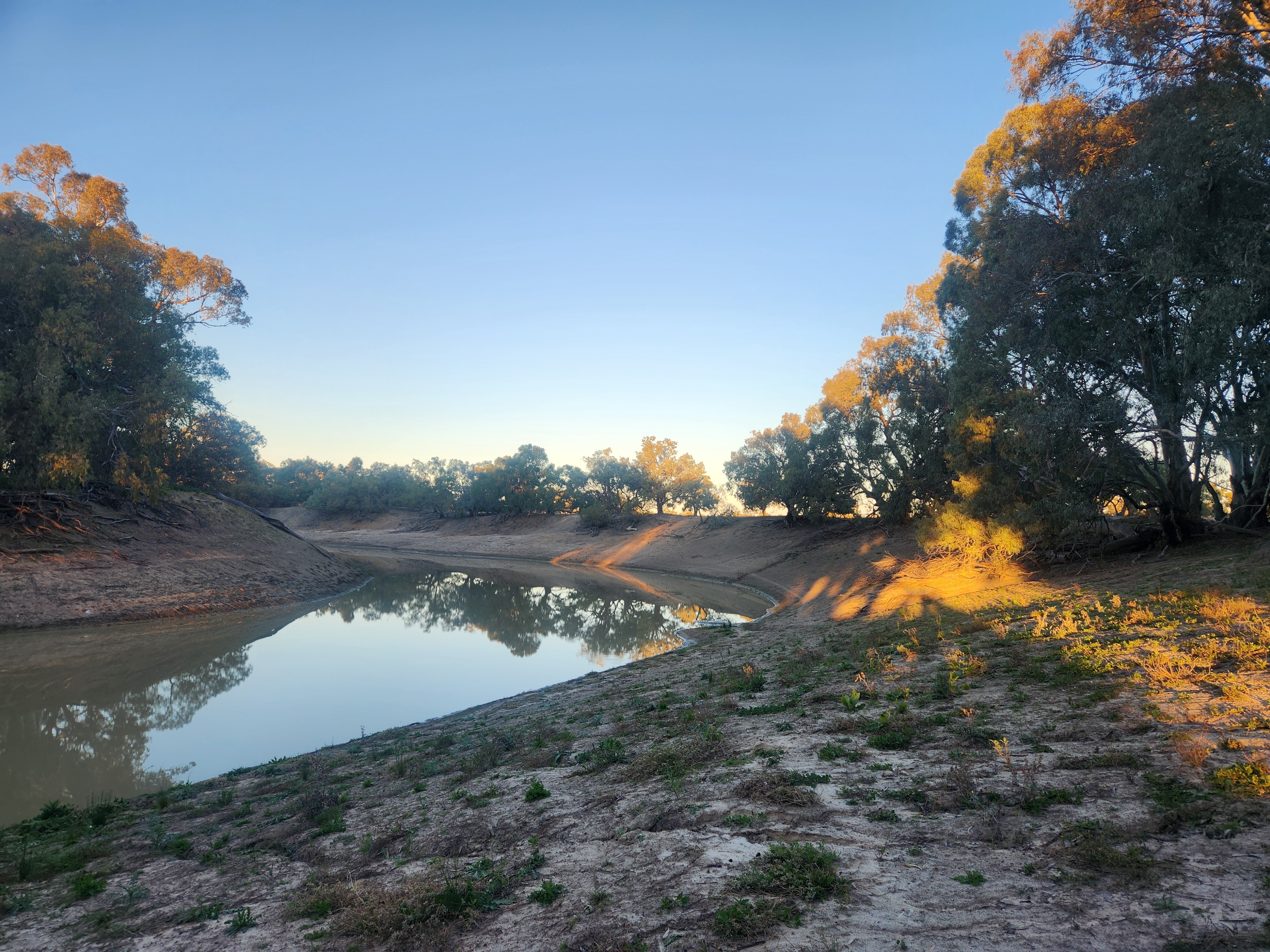The muddy banks of an Australian river