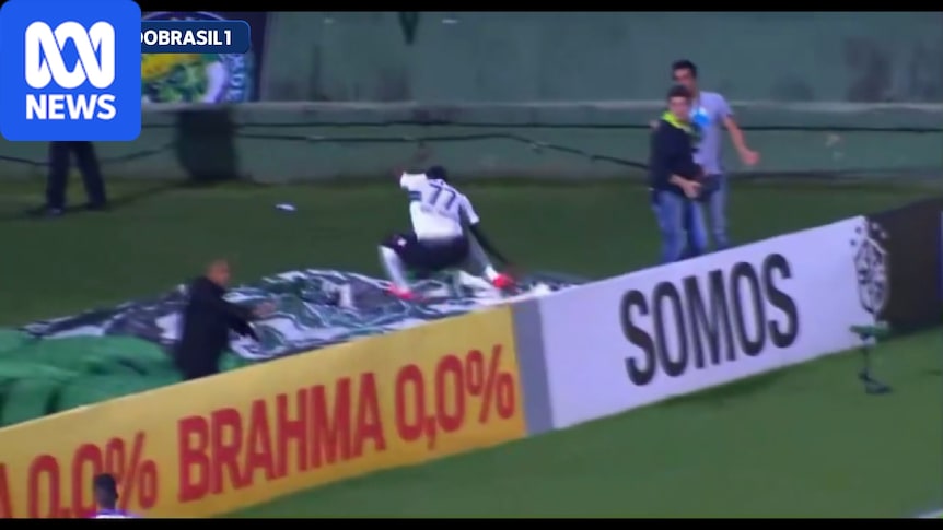 Cameroonian Forward Diederrick Joel Falls into Tunnel During Celebration