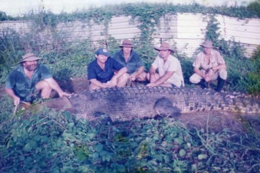 Five men sit behind a massive crocodile they caught