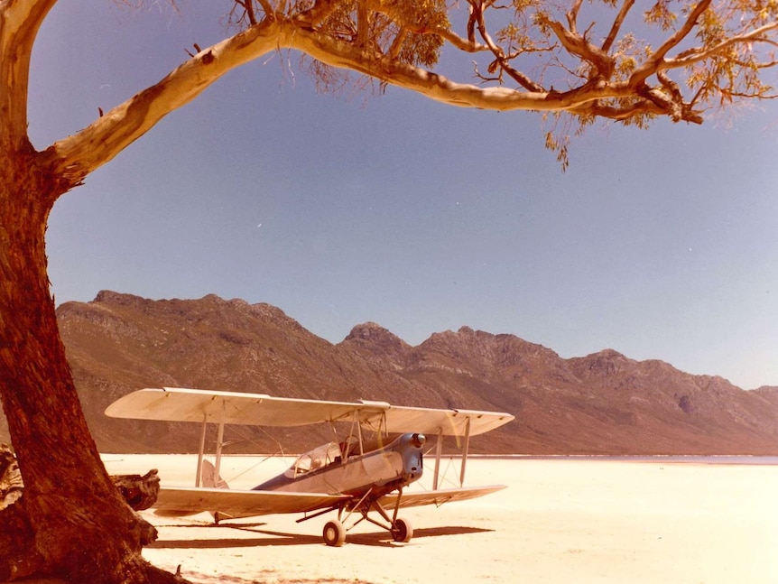 Old photo with saturated colours of a Tiger Moth plane on a beach at  Lake Pedder. Gum tree in foreground