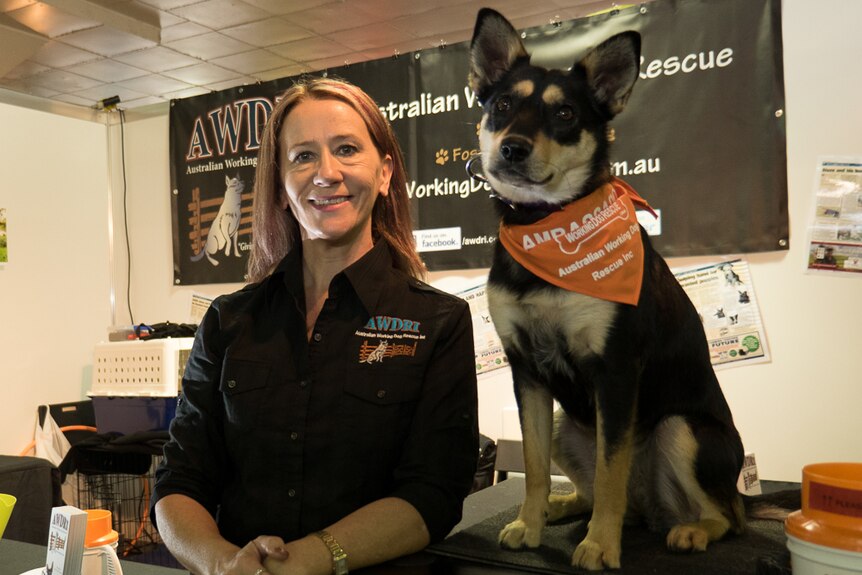 AWDRI founder Di Edwards and her adopted working dog Tricky.