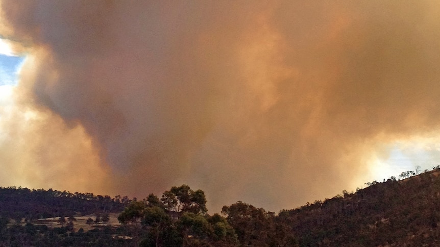 The Derwent Valley fire burnt out about 5,000 hectares