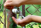 Close up child hands with water drops from old grunge brass faucet on green bokeh background