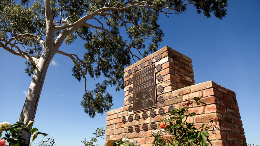 A photo of the memorial plaque in the shadow of a grand gum tree.