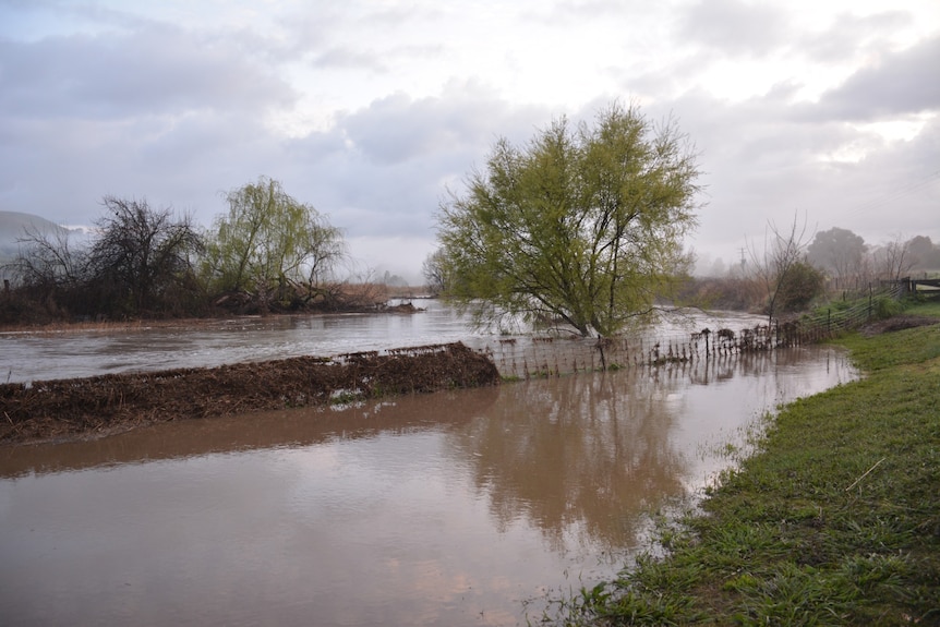 A flooded creek with a haf flooded fence through the middle that has debris collected on it.