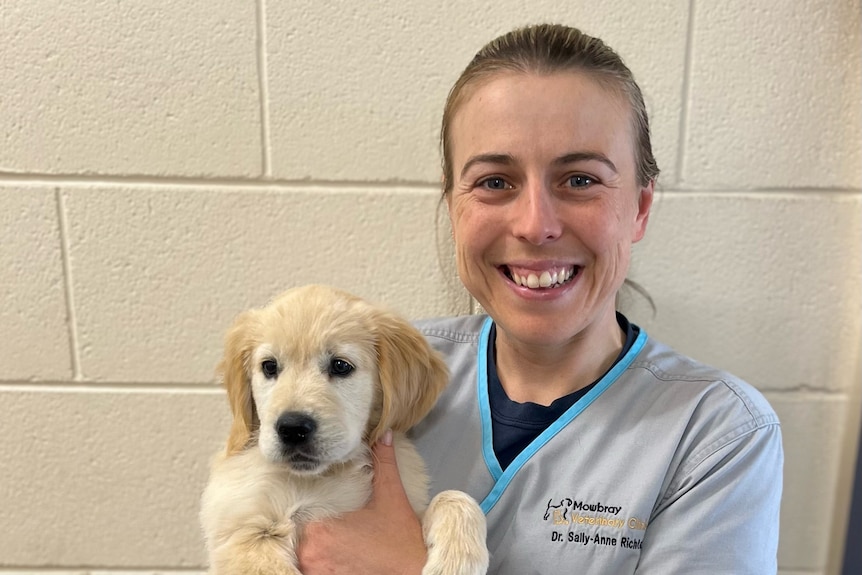 A smiling woman in scrubs holds a golden retriever puppy.