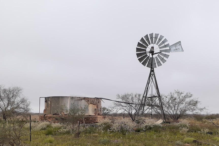 A water tank and wind mill on a grey, cloudy day. 