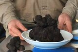 Yarra Valley farmer Stuart Dunbar with a giant truffle