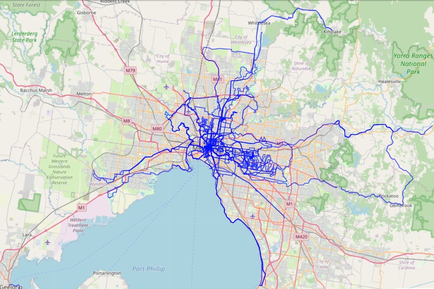 A picture of all the routes Pravin Xeona has cycled in Melbourne - which shows journeys in all directions