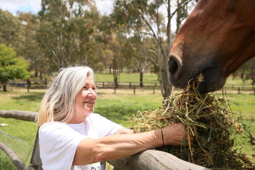 Janet Walk, feeding her horse 