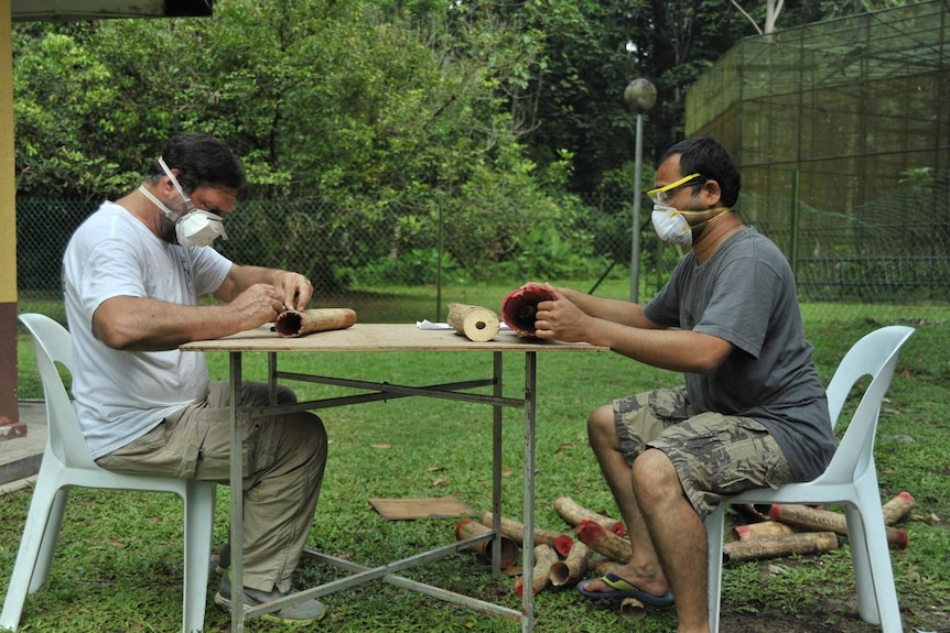 Two men taking samples from elephant tusks.