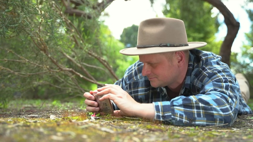 Man using his phone to look at moss on the ground.