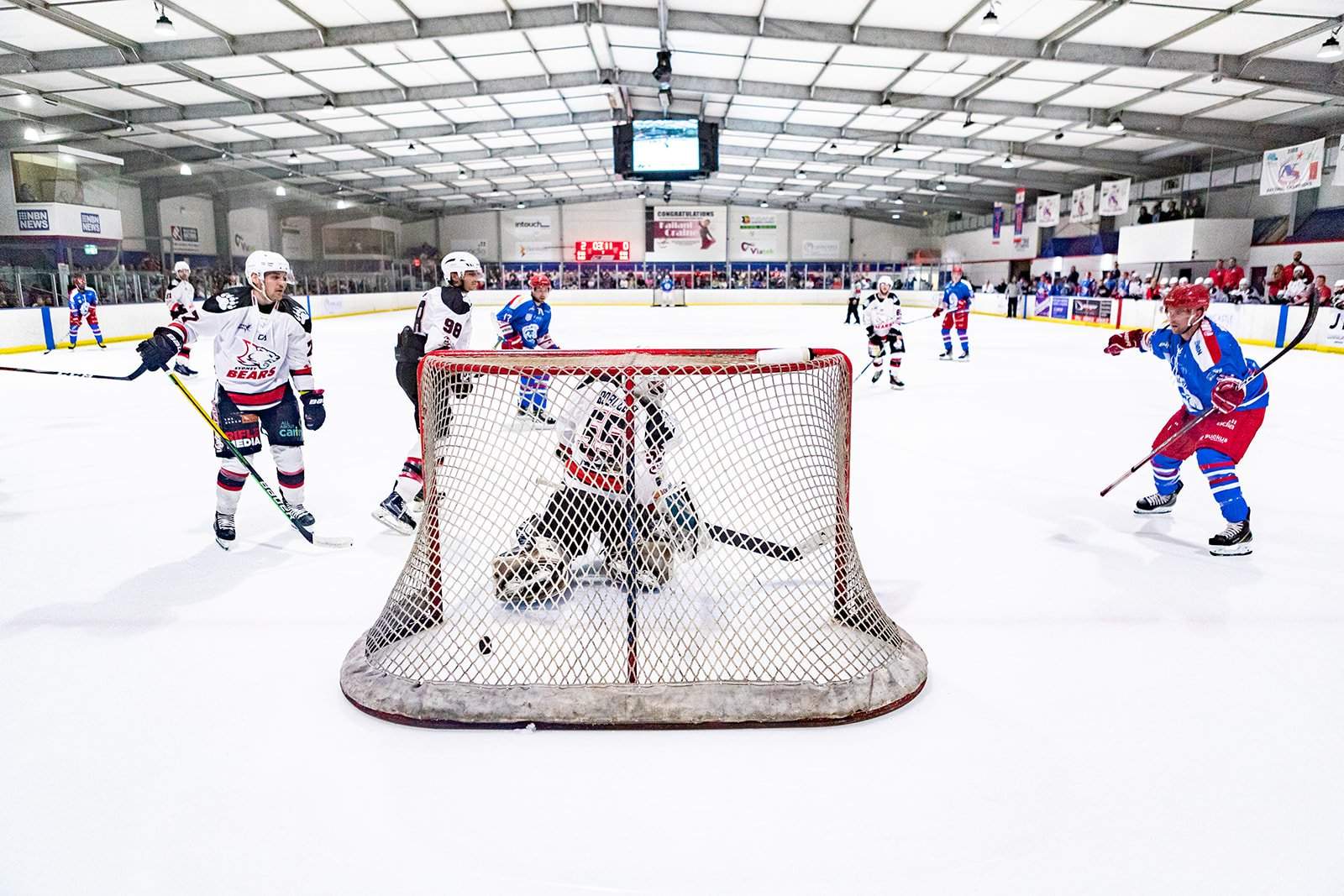 Sydney Ice Dogs, Sydney Bears withdraw from 2025 Australian Ice Hockey