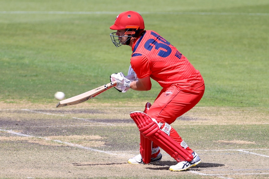 Travis Head smacks incredible one-day cup double century for South  Australia against Queensland - ABC News