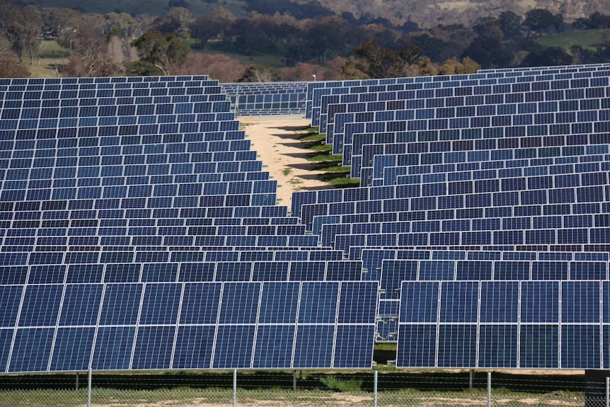 The Royalla solar farm is made up of 83,000 photovoltaic panels.