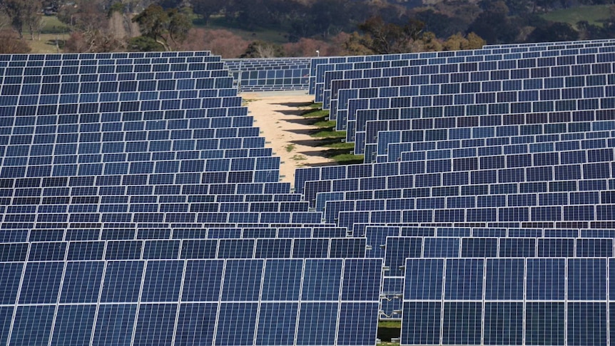 Panels at Royalla solar farm south of Canberra