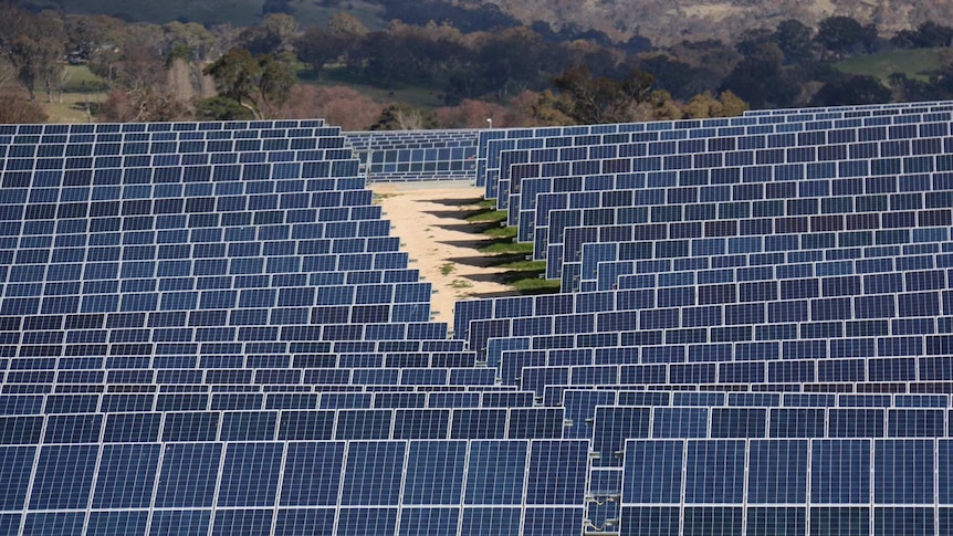 Panels at Royalla solar farm south of Canberra.