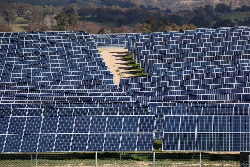 The Royalla solar farm.