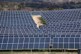 Panels at Royalla solar farm south of Canberra