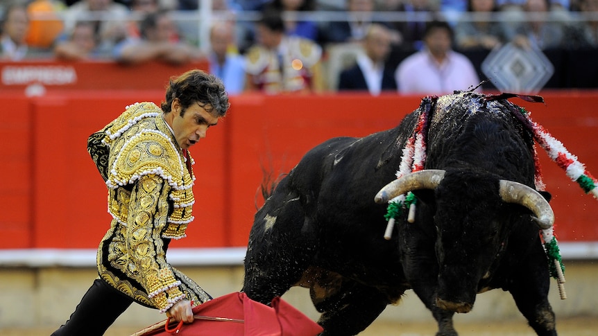Spanish bullfighter Jose Tomas on September 25, 2011