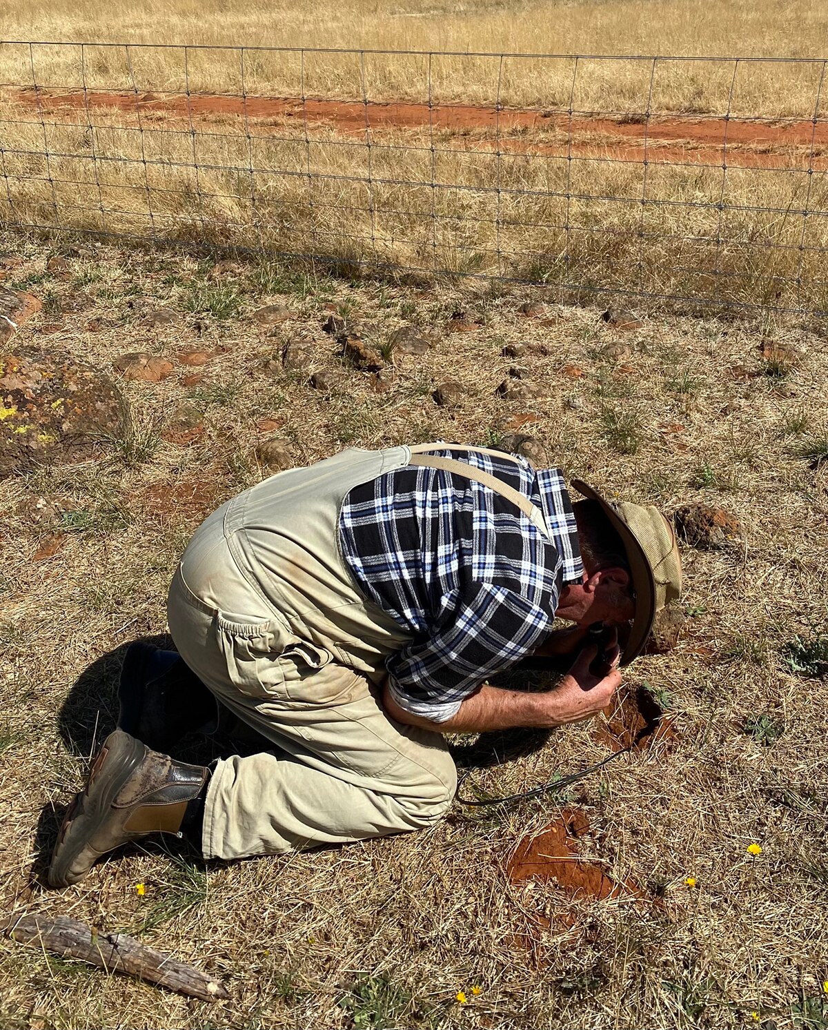 Un hombre con monos beige y una camisa de frannelette azul marina y blanca que se dobla sobre un agujero en un paddock.