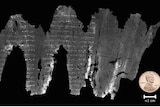 Image of en-gedi scrolls