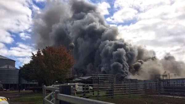 Fire at piggery at Joadja NSW southern highlands