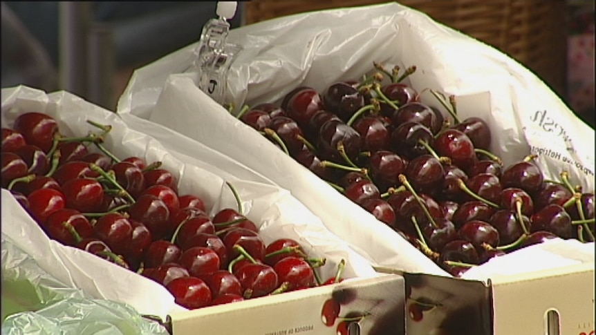 Talks could open up cherry exports to China