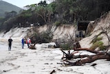 Locals inspect trees that are uprooted on the beach at Byron Bay.