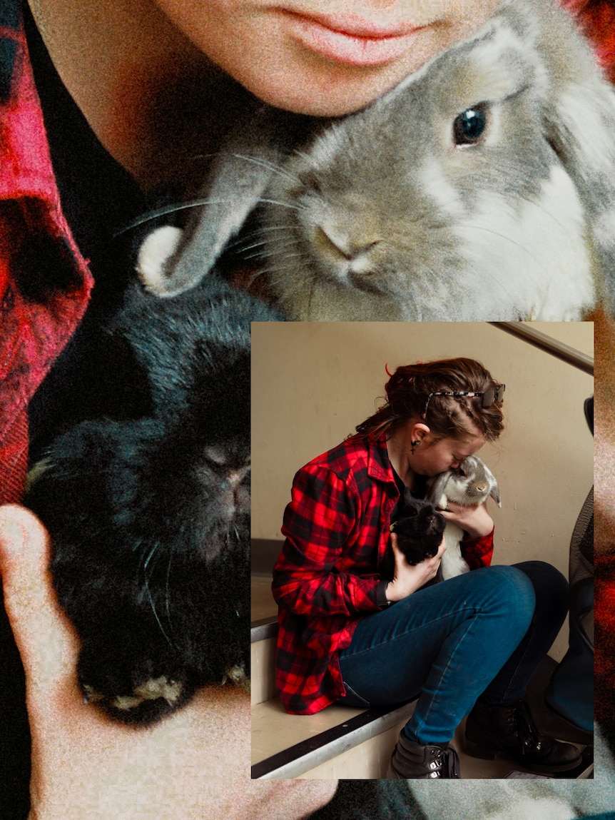 A collage image of a woman holding two bunnies and a close up of the bunnies