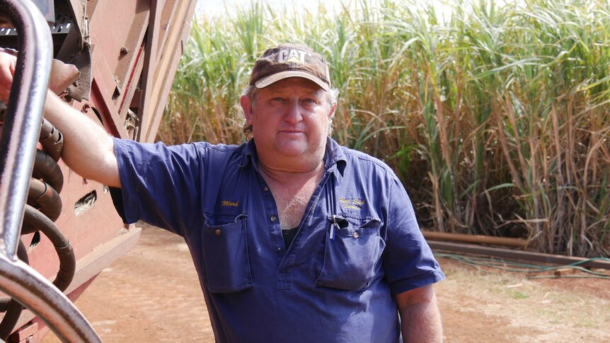 A man in a blue shirt and a black cap leans on machinery with sugar cane growing in the background.