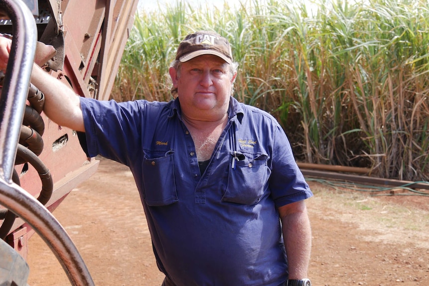 A man in a blue shirt and a black cap leans on machinery with sugar cane growing in the background.