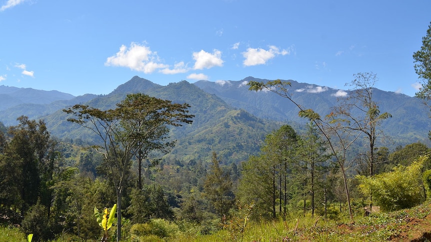 A landscape in the New Guinea Highlands.
