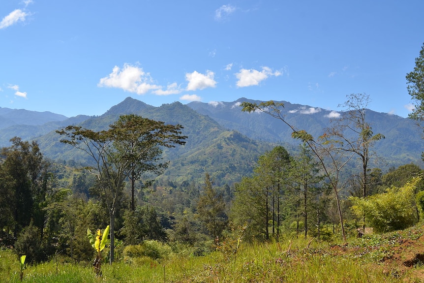 A landscape in the New Guinea Highlands.