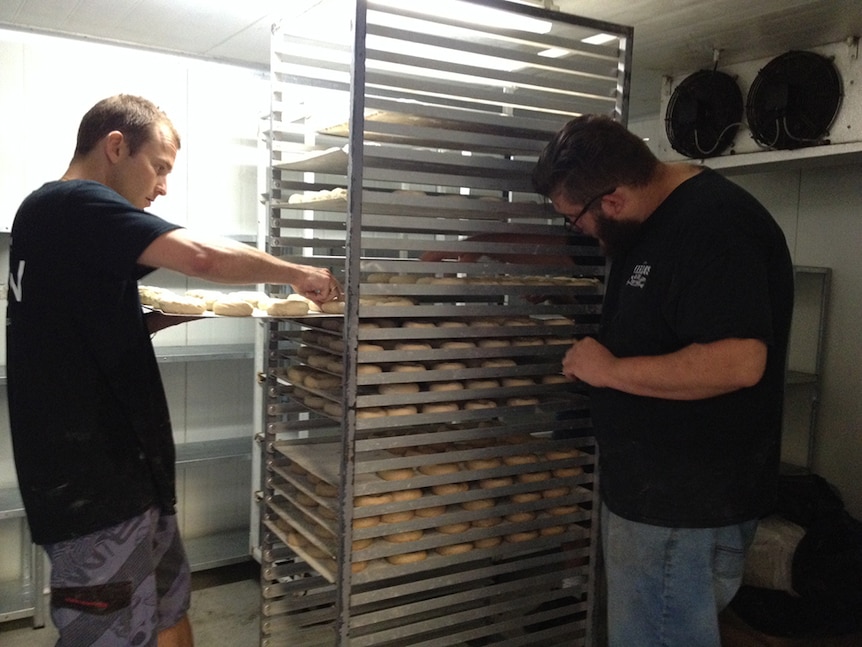 Lining the bagels on tray.