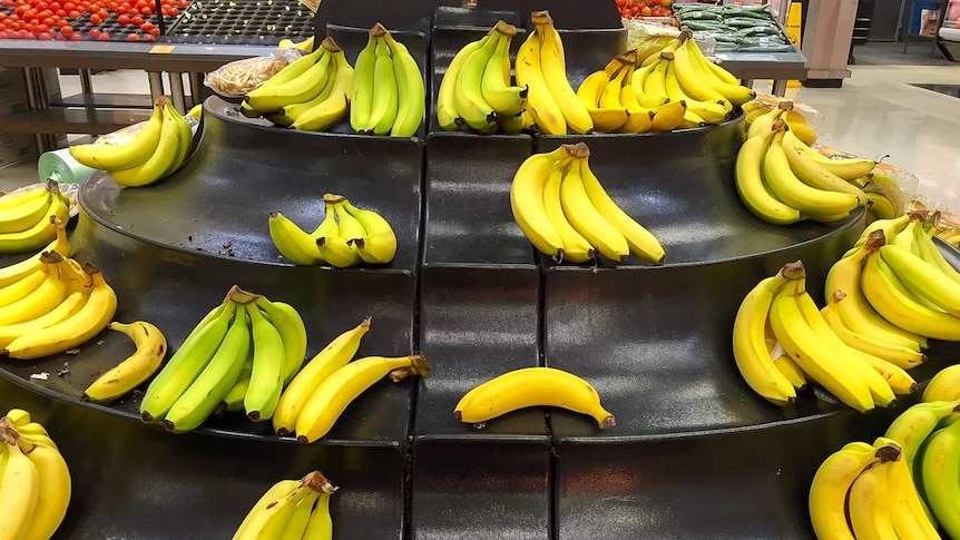 Bunches of bananas on display in a supermarket