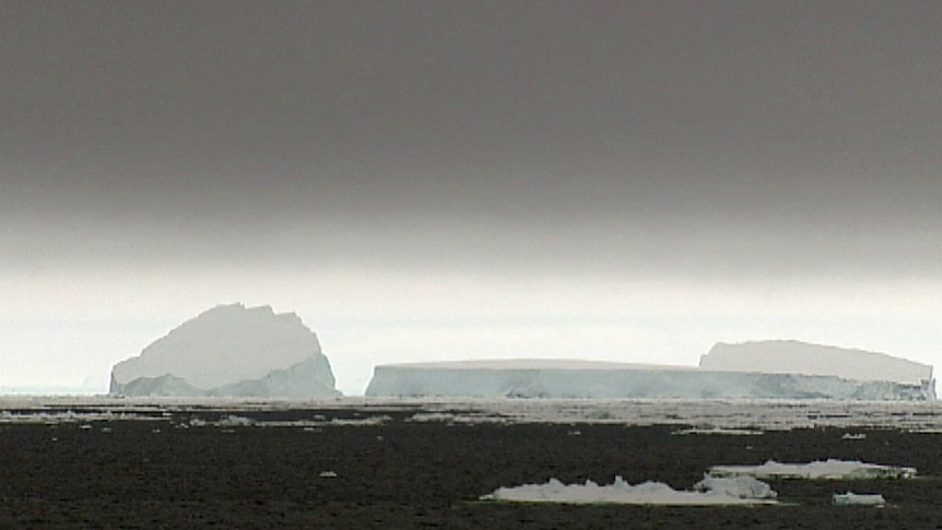 Icebergs float in the sea near Antarctica.