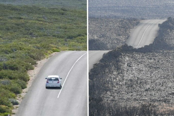 A split-screen photo of before and after bushfire tore through Kangaroo Island