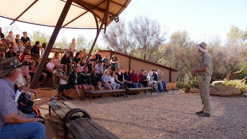 A man in khaki stands and speaks to bird show attendees  in the amphitheatre at the Alice Springs Desert Park