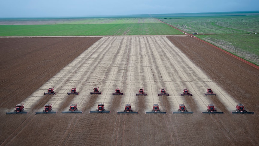 A line of harvesters clear parallel tracks across a soy plantation.