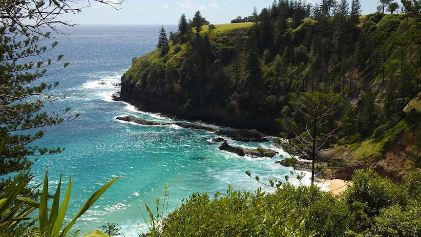 Scenic coastline on Norfolk Island