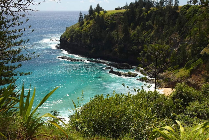 Scenic coastline on Norfolk Island