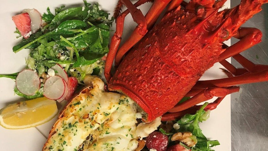 A luscious-looking plate of lobster with some greens and lemons.