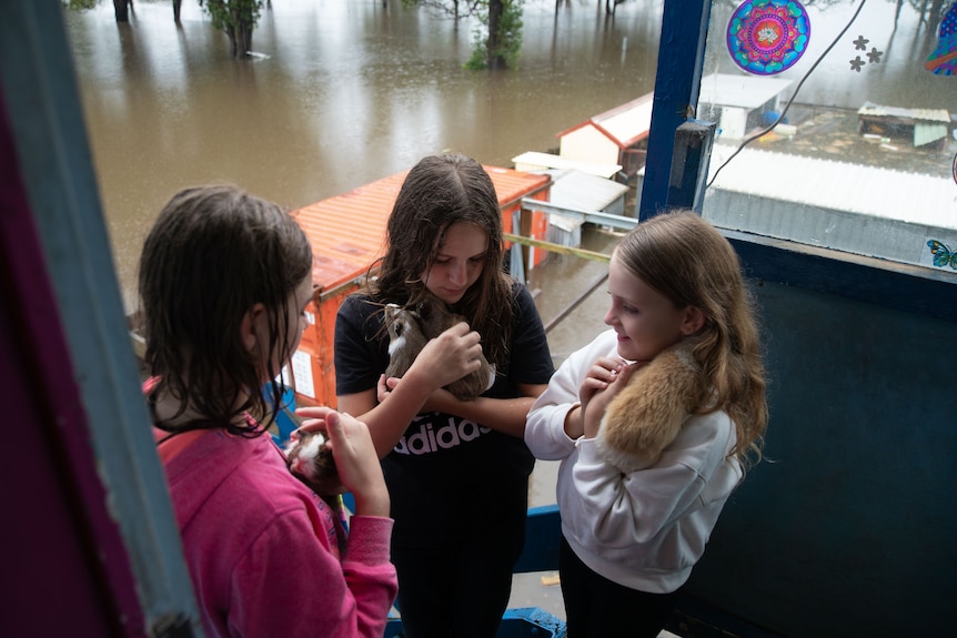 Three young girls hold guinea pigs.