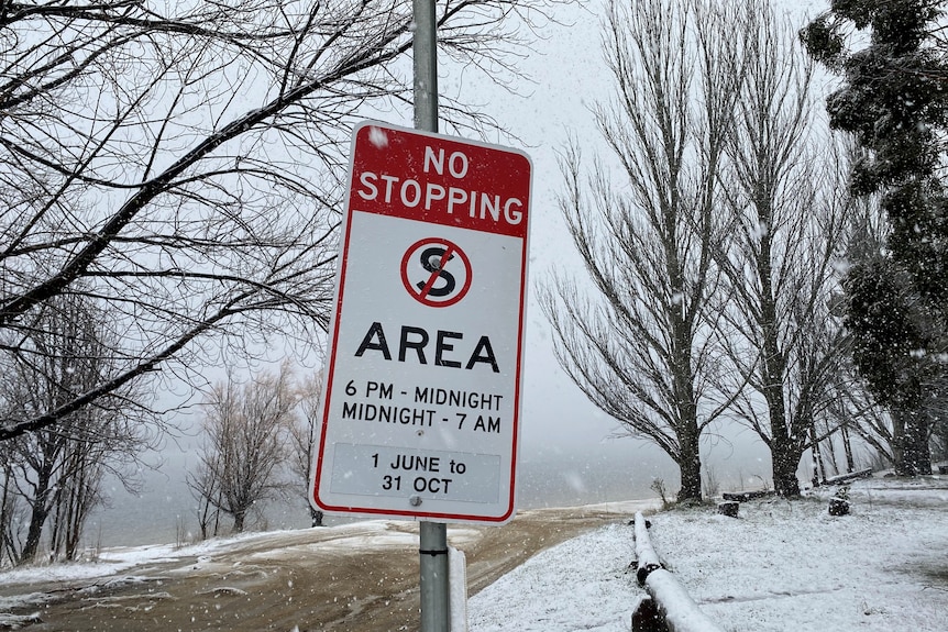 A no stopping sign in the snow.