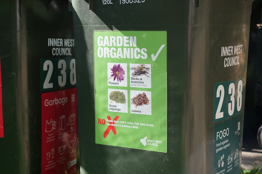 A label on the side of a green lidded bin showing various garden waste products.